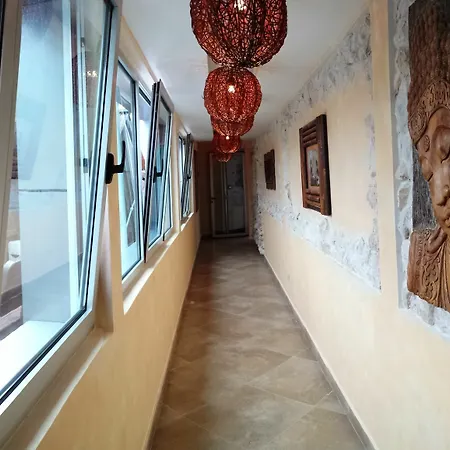 Bali Paradizo Zemun